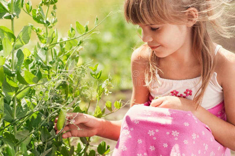 Das Kleine Mädchen Im Garten Stockfoto Bild von kaukasisch, betrieb