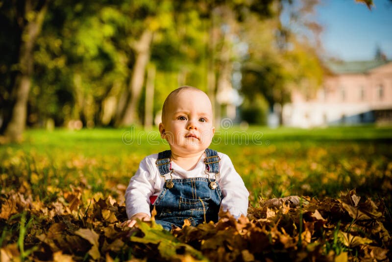  Das Leben Ist Nicht Einfach Stockbild - Bild von porträt, nahaufnahme Motiv 