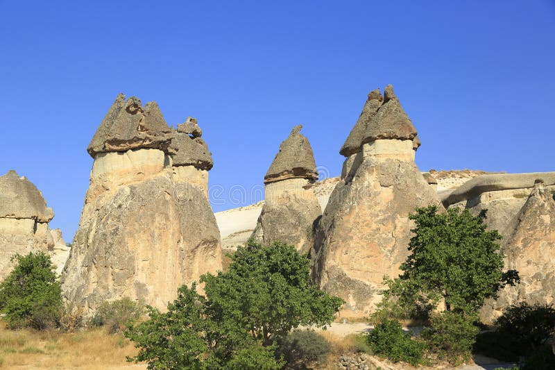 Das prächtige Cappadocia-Tal mit seiner felsigen Struktur aus vulkanischen Tuffs. Blick auf den Kamin, gebildet durch Erosion vulkanischer Felsen im Laufe der Jahre. Nevsehir Türkei.
