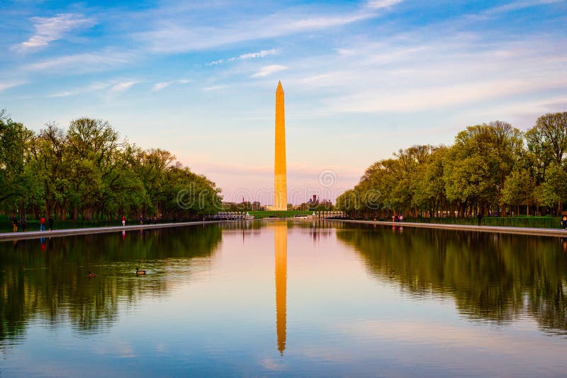 Das Washington-Monument und das Reflexionspool in Washington-DC