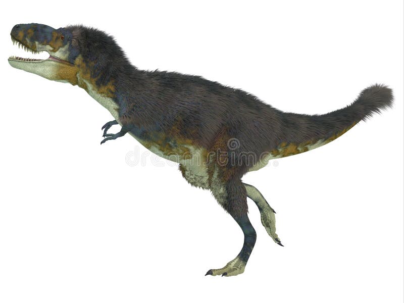 Nanotyrannus Dinosaur on the Run Stock Illustration - Illustration of  isolated, extinct: 47935822