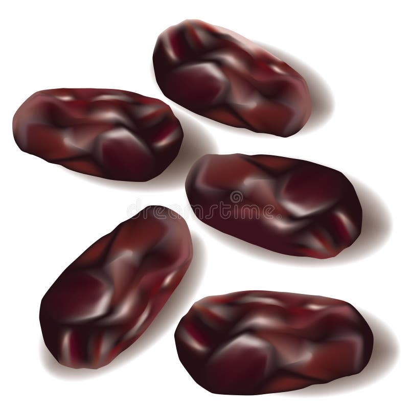 Dadels. Vrucht van de dadelpalm royalty-vrije illustratie