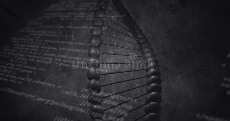 Data processing over dna structure spinning and network of connections against grey background royalty free stock photography