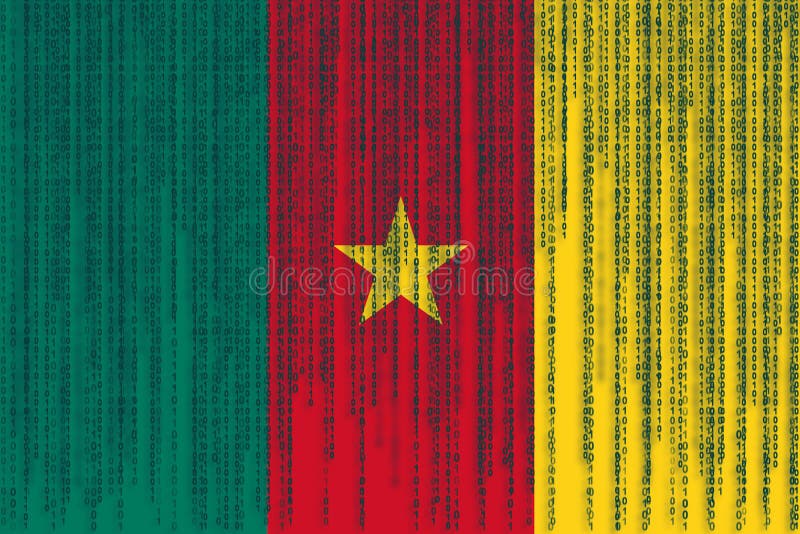 Data flags. Data flags