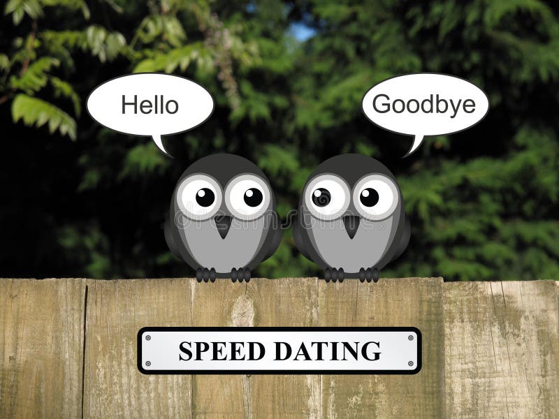 Comical birds speed dating perched on a timber garden fence against a foliage background. Comical birds speed dating perched on a timber garden fence against a foliage background