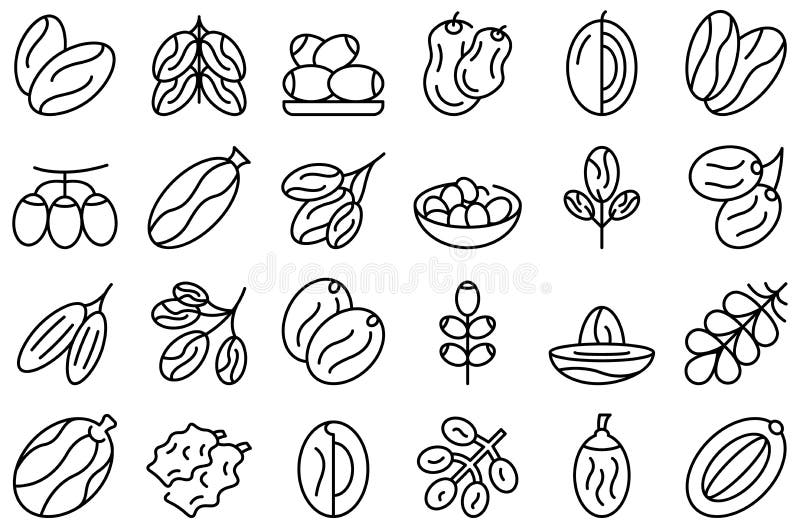 Date fruit icons set outline vector. Leaf food