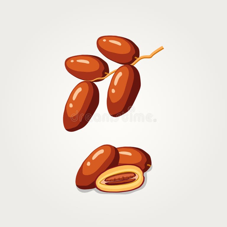 ramadan food vector