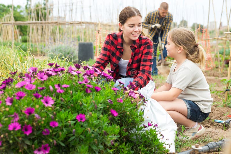 Daughter Helps Her Mother Take Care Of Flowers In Garden Stock Image
