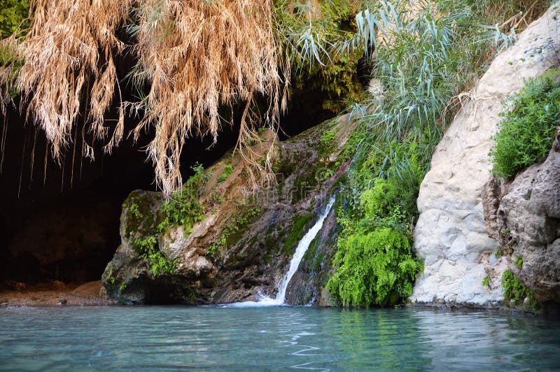 Arabian mideast scenic view. High palmtree in beautiful gorge formation En Gedy, in national Judean desert on shore of Dead Sea near Masada and Qumran Caves. Place of hid biblical David from King Saul. Arabian mideast scenic view. High palmtree in beautiful gorge formation En Gedy, in national Judean desert on shore of Dead Sea near Masada and Qumran Caves. Place of hid biblical David from King Saul