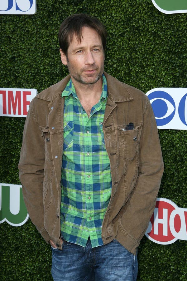 David Duchovny foto editorial. Imagen de hotel, viaje 36718236