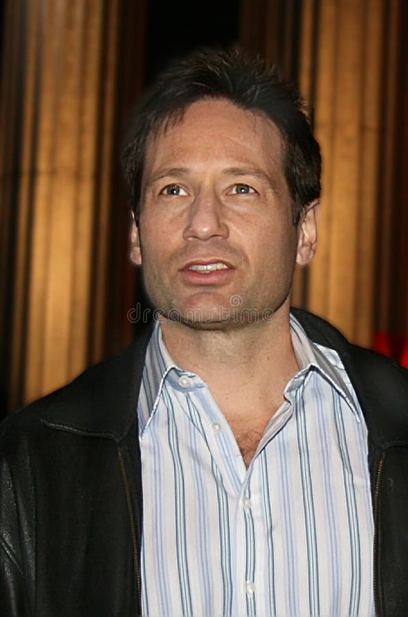 David Duchovny Arrives at the Vanity Fair Party for the 2006 Tribeca