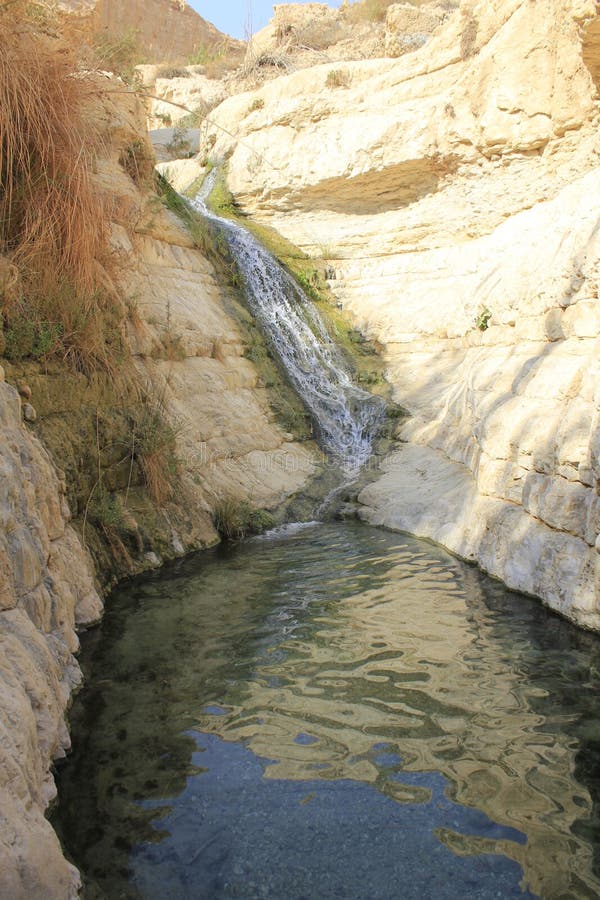 David Stream Water Fall in Ein Gedi, Judea Desert in the Holy Land, Israel