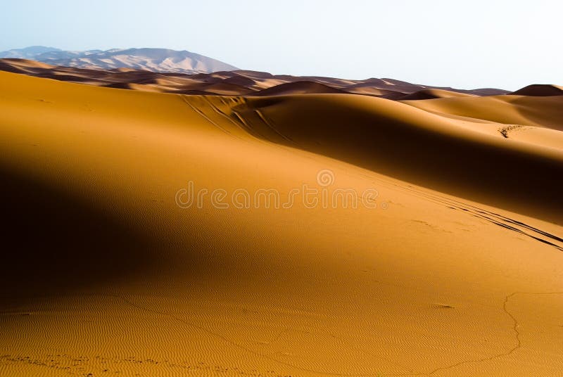 Dawn in the Dunes,Morocco