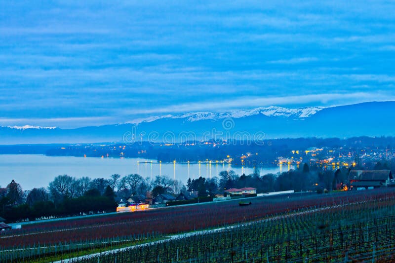 Dawn at a Swiss Vineyard