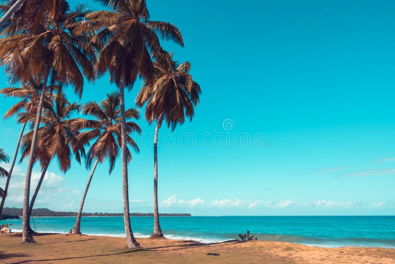 A day at the beach in the tropical wilderness stock photos A day at the beach in the tropical wilderness stock photos