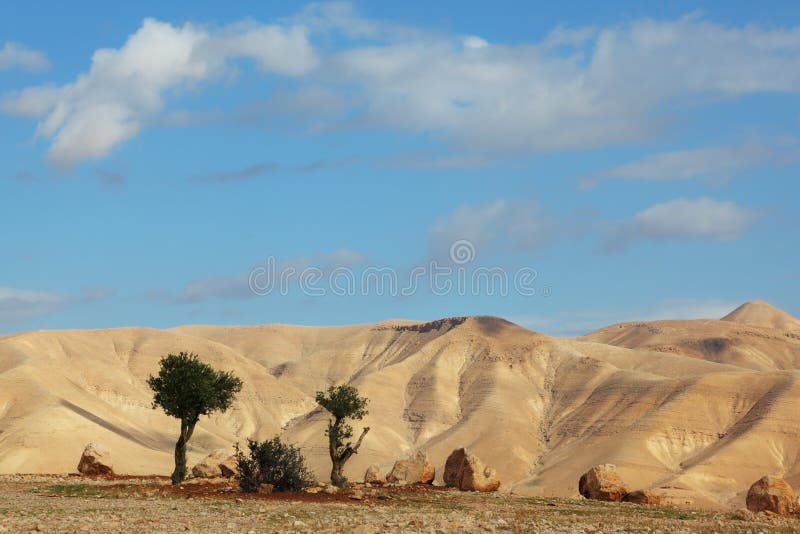 The day in Judean desert