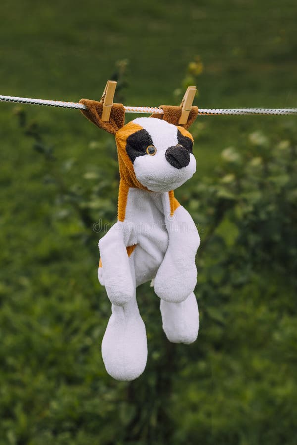 daylight. on a clothesline hanging soft children's toys. they are fixed with a clothespin royalty free stock photos daylight. on a clothesline hanging soft children's toys. they are fixed with a clothespin royalty free stock photos