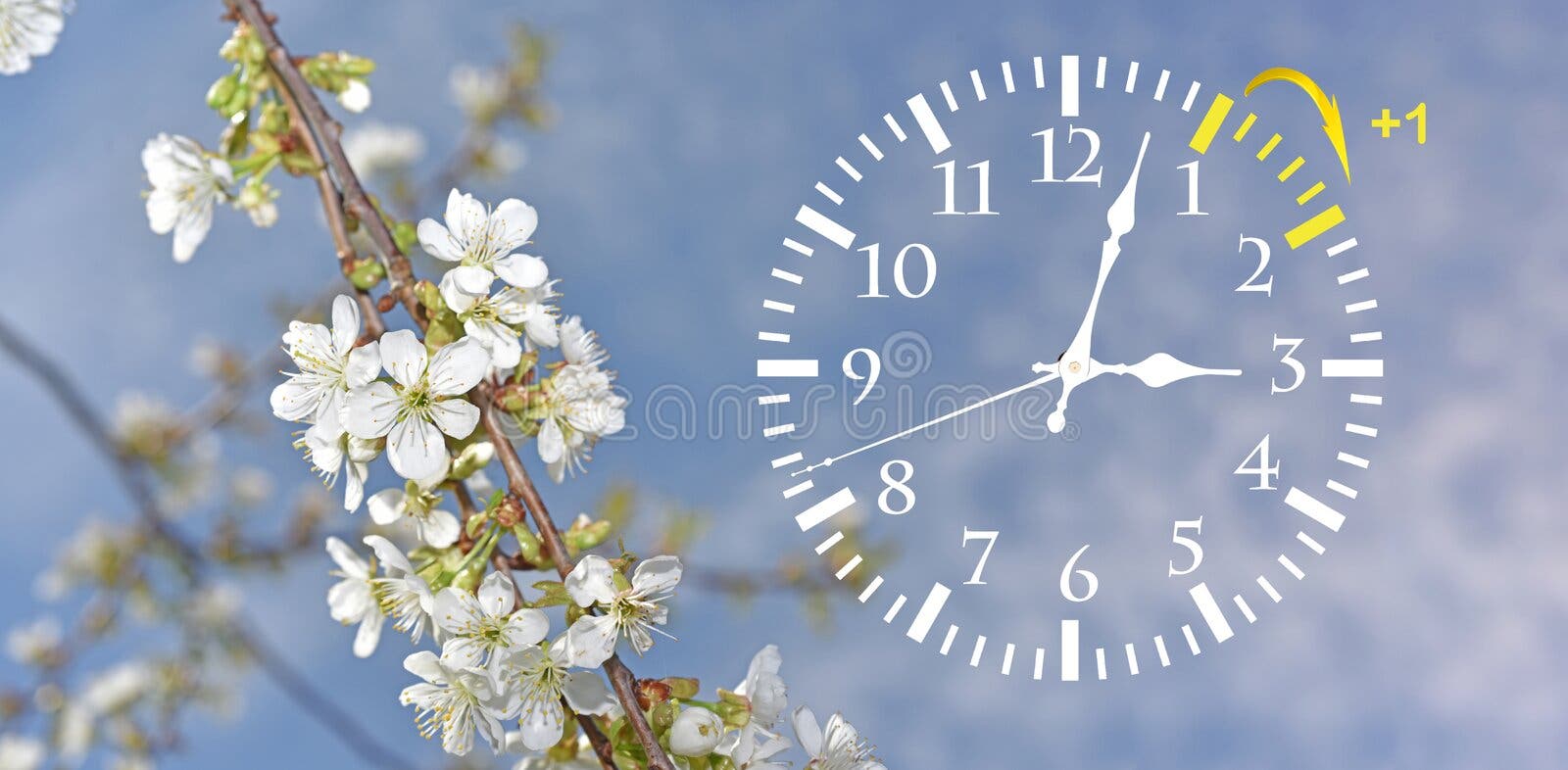 Daylight Saving Time. Change Clock To Summer Time. Stock Photo - Image of  saving, isolated: 110689460
