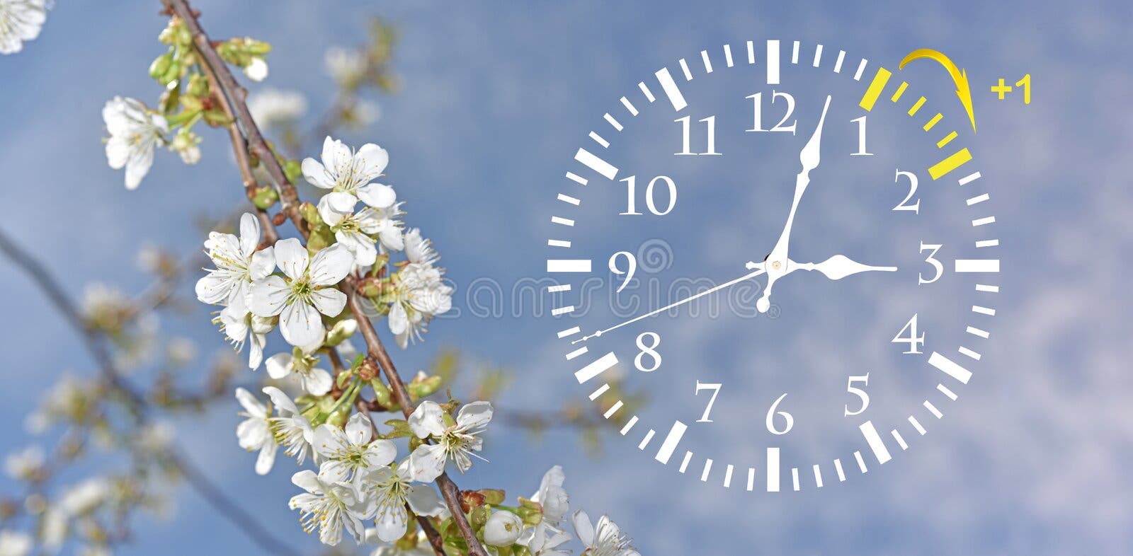 Daylight Saving Time. Change Clock To Summer Time. Stock Photo - Image of  longer, spring: 110689664