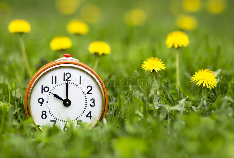 Daylight savings time, spring forward - alarm clock and dandelion flowers