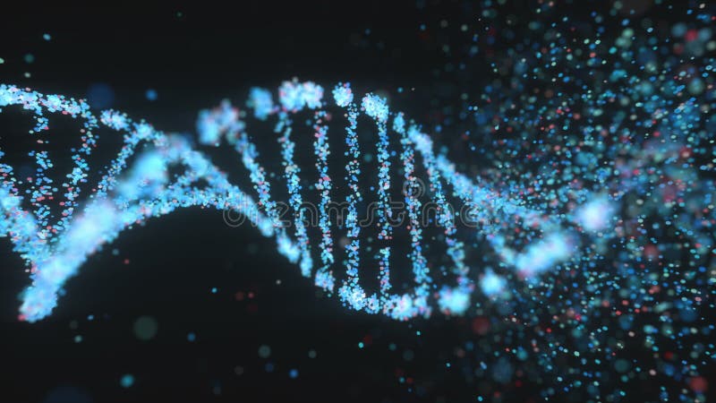 Daño de ADN oxidativo Trastorno genético Estructura molecular