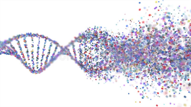 Daño en el ADN Trastorno genético Estructura molecular