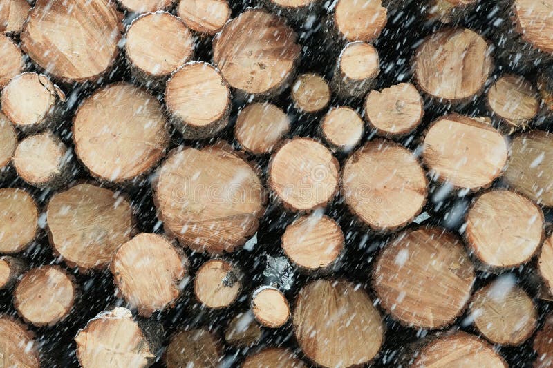 Heavy Snow Falling in Front of Large Stack of Logs royalty free stock image