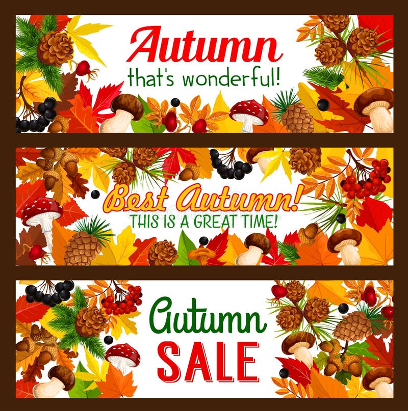De aanbiedingsbanner van de de herfstverkoop met het kader van de dalingsaard royalty-vrije illustratie De aanbiedingsbanner van de de herfstverkoop met het kader van de dalingsaard royalty-vrije illustratie