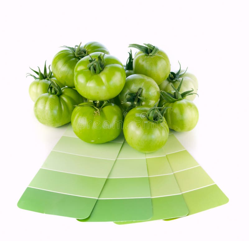 De aanpassing van groene verfkleuren aan aard stock foto's De aanpassing van groene verfkleuren aan aard stock foto's