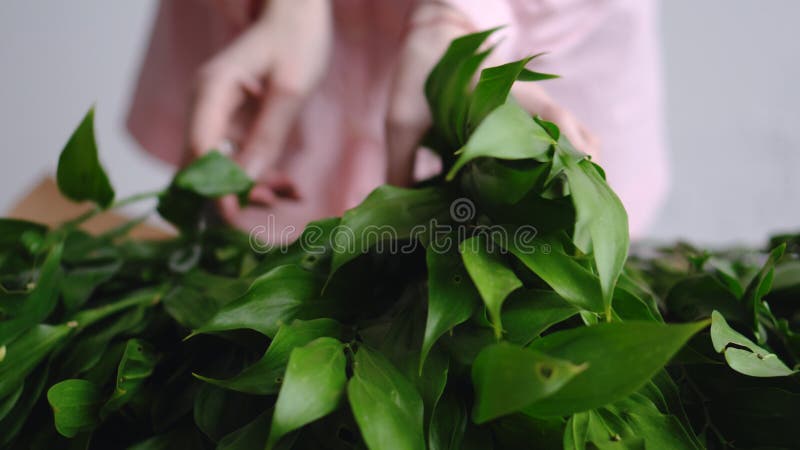 De aanrakingengreens van de close-upbloemist om een boeket te verfraaien stock afbeeldingen De aanrakingengreens van de close-upbloemist om een boeket te verfraaien stock afbeeldingen