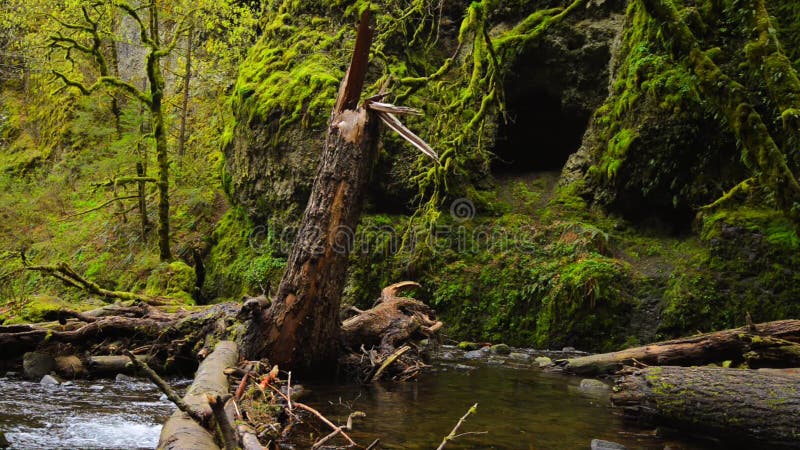 De Aard van de de Rivierkloof van Colombia, Oregon