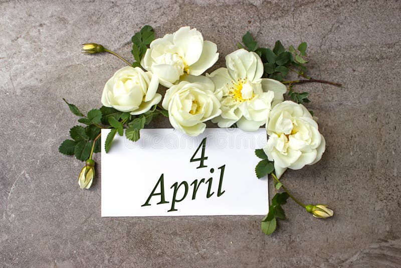 April 4th. Day 4 of month, Calendar date. White roses border on pastel grey background with calendar date. Spring month, day of the year concept. April 4th. Day 4 of month, Calendar date. White roses border on pastel grey background with calendar date. Spring month, day of the year concept