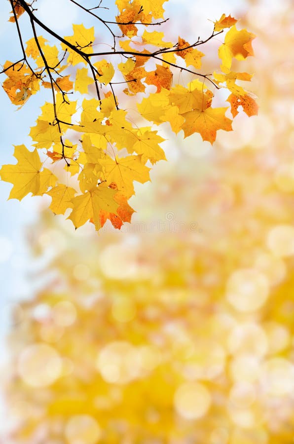 Abstracte achtergrond van vallende bladeren royalty-vrije stock afbeeldingen