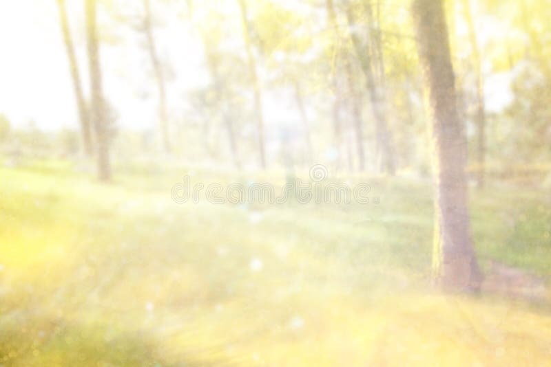 De abstracte foto van licht barstte onder bomen en schittert bokeh lichten het beeld is vaag en gefiltreerd stock foto's De abstracte foto van licht barstte onder bomen en schittert bokeh lichten het beeld is vaag en gefiltreerd stock foto's