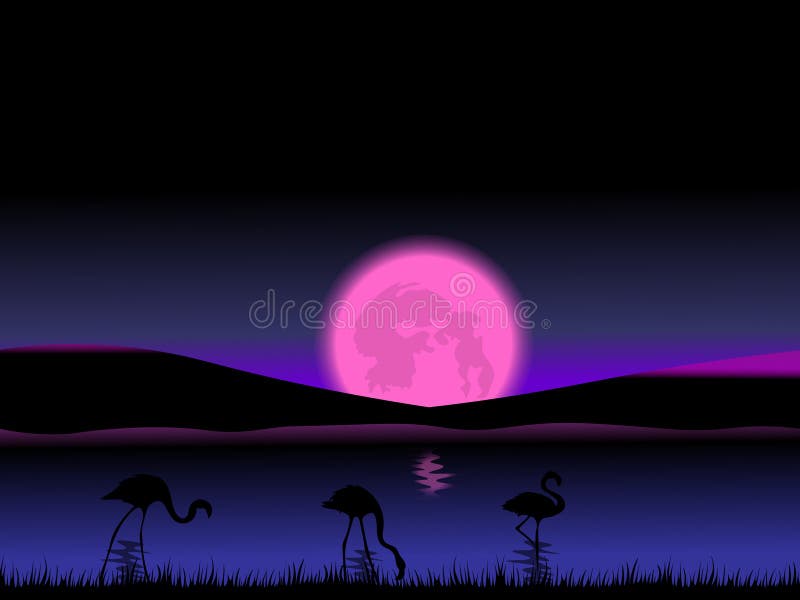 De abstracte scène van de nachtschemer met volle maan en flamingo's royalty-vrije illustratie De abstracte scène van de nachtschemer met volle maan en flamingo's royalty-vrije illustratie