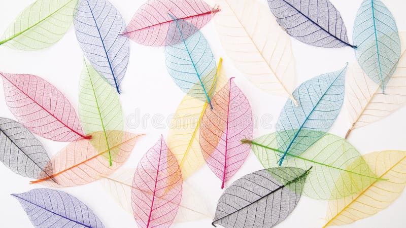 De achtergrond van bladeren in mooie pastelkleuren