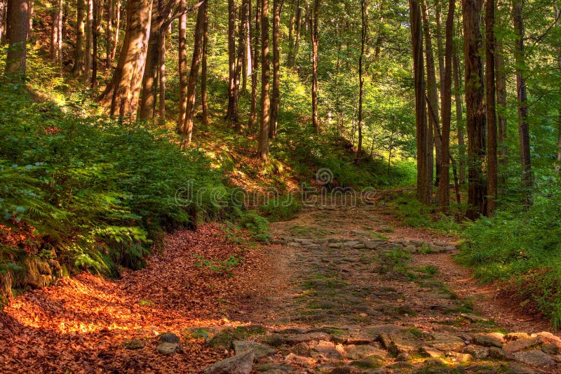 Nature background with old stony road. Nature background with old stony road