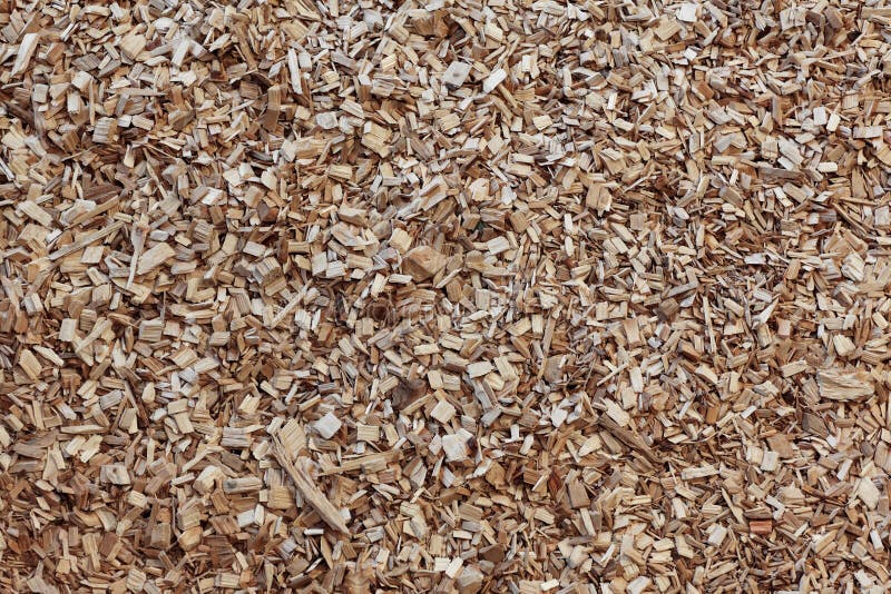 Wood chip chipping or shredded mulch material texture background. Wood chip chipping or shredded mulch material texture background