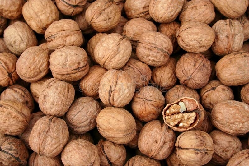 Healthy fresh organic walnuts as background. Healthy fresh organic walnuts as background