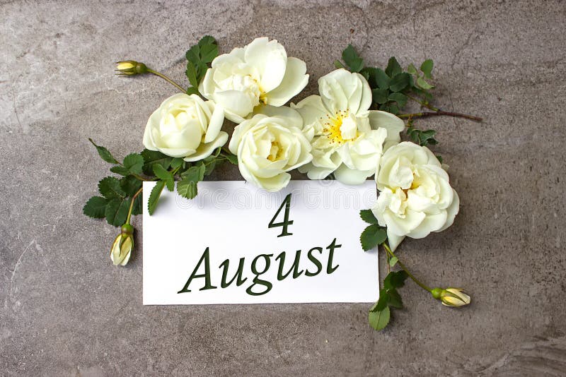 August 4th. Day 4 of month, Calendar date. White roses border on pastel grey background with calendar date. Summer month, day of the year concept. August 4th. Day 4 of month, Calendar date. White roses border on pastel grey background with calendar date. Summer month, day of the year concept