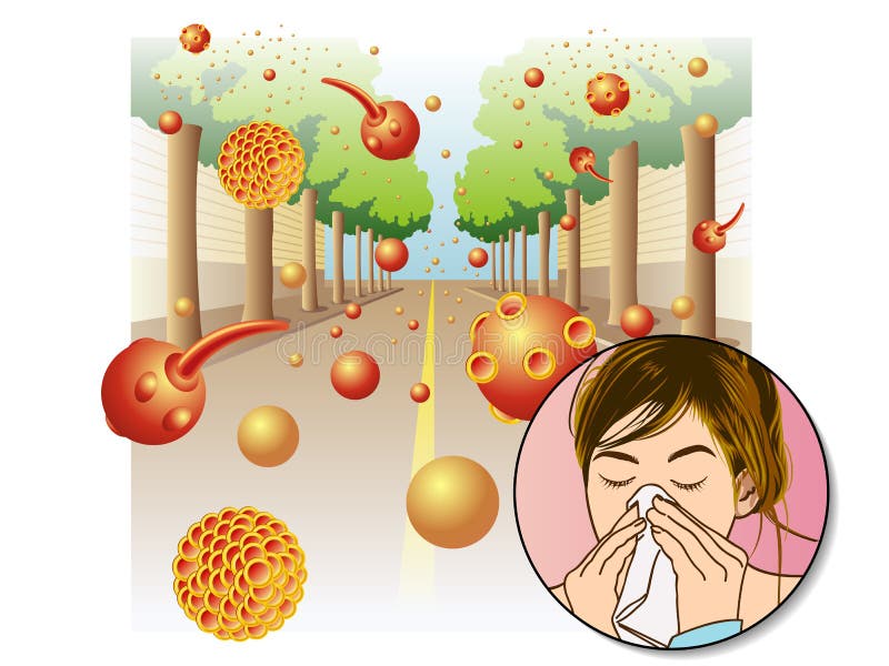 De allergie van het stuifmeel