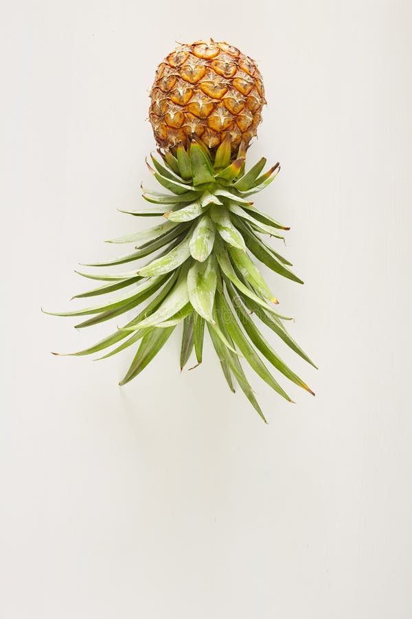 De Ananas wit hout van het de zomerconcept stock afbeelding