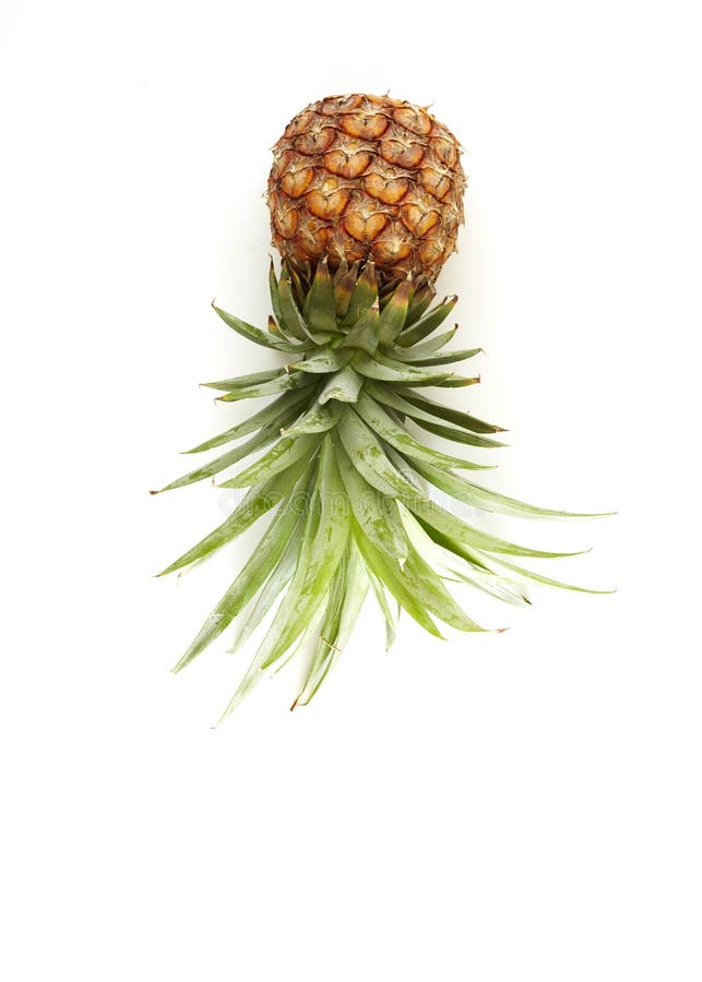 De Ananas wit hout van het de zomerconcept royalty-vrije stock foto's