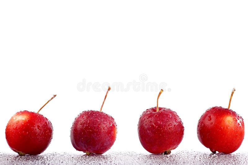 De appelen van de krab royalty-vrije stock afbeelding De appelen van de krab royalty-vrije stock afbeelding