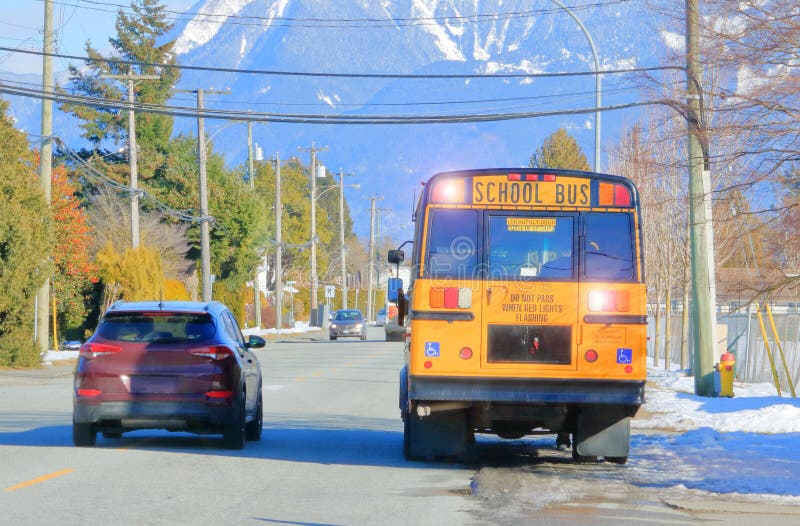 De automobilist negeert de Opvlammende Lichten van de Schoolbus royalty-vrije stock afbeeldingen De automobilist negeert de Opvlammende Lichten van de Schoolbus royalty-vrije stock afbeeldingen