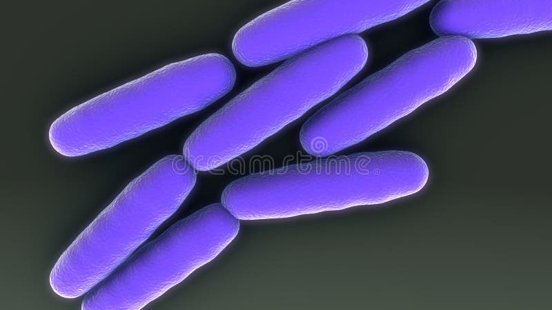 De bacteriële groei royalty-vrije illustratie De bacteriële groei royalty-vrije illustratie
