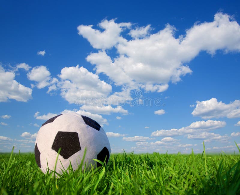 De Bal Van Het Voetbal In Gras Stock Afbeelding - Afbeelding bestaande