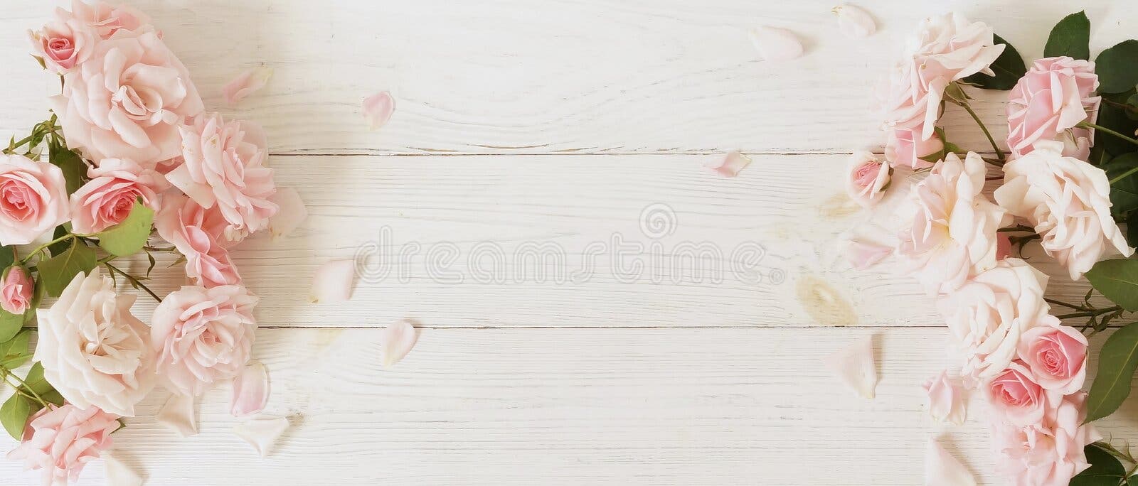 De Banner van bloemen Background Boeket van mooie roze rozen op witte houten achtergrond De Banner van bloemen Background Boeket van mooie roze rozen op witte houten achtergrond