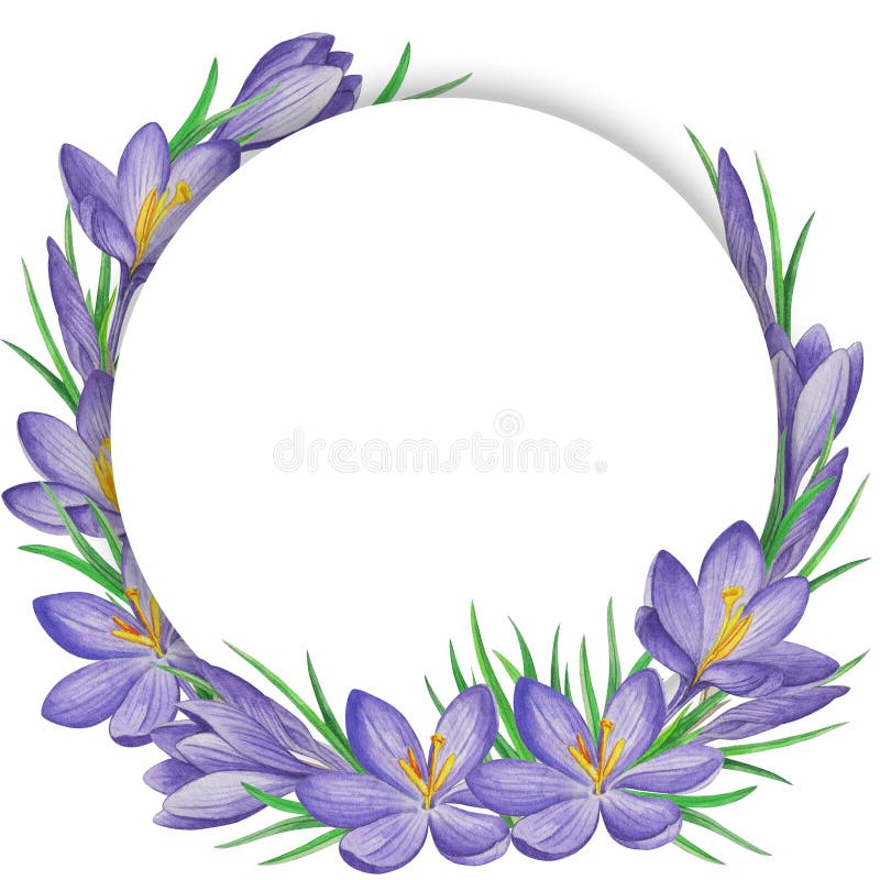 De banner van de de lentebloem van krokussen De achtergrond van de waterverf stock illustratie De banner van de de lentebloem van krokussen De achtergrond van de waterverf stock illustratie