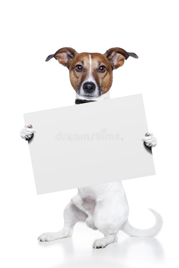 De banner van de hond De banner van de hond